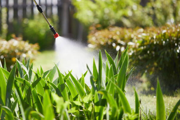 24/7 Emergency Wasp Removal experts in Live Oak, FL