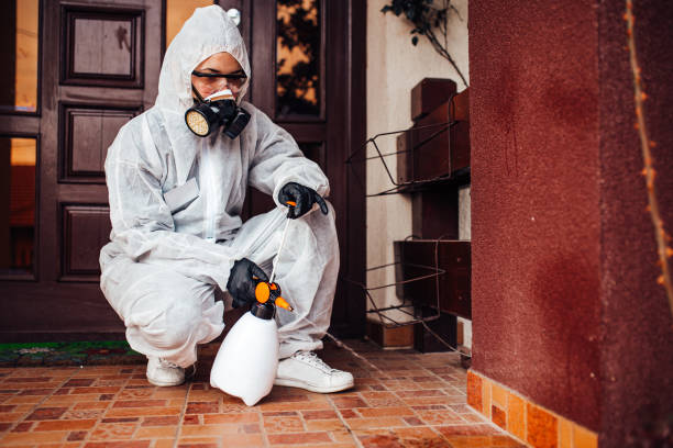 Reliable Wasp Removal contractor in Live Oak, FL by Show Me Pest Control